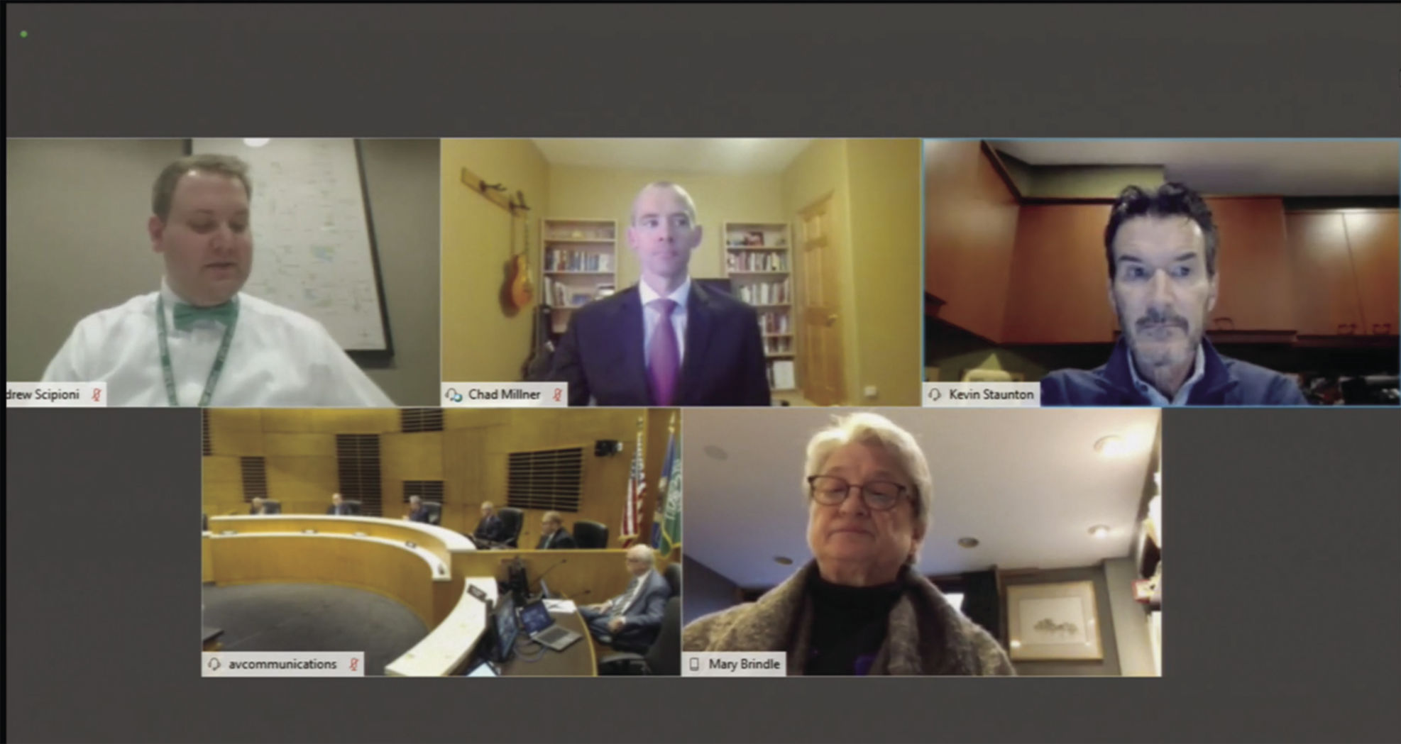 Edina City Council remote meeting
